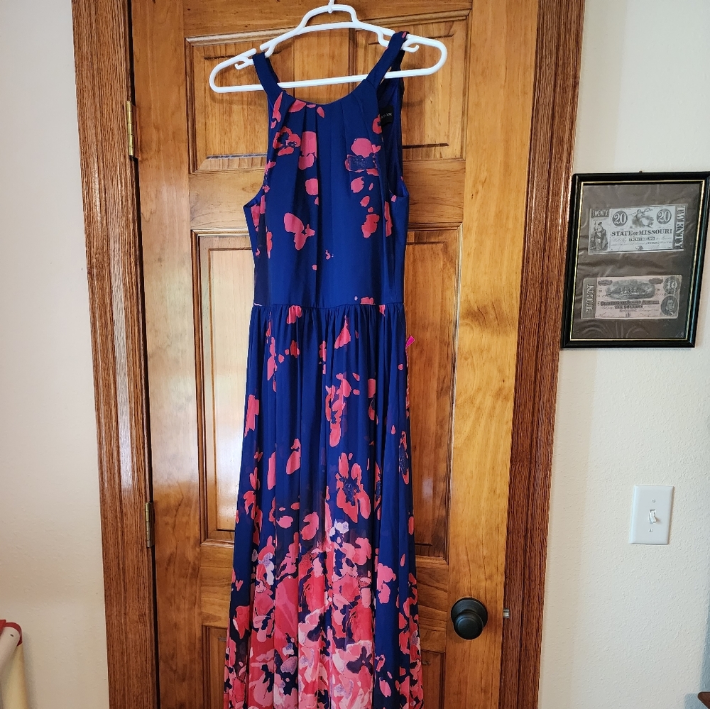 NWT Navy & Pink Floral Dress